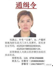 缉令在线观看,网络直播揭秘犯罪线索  第2张